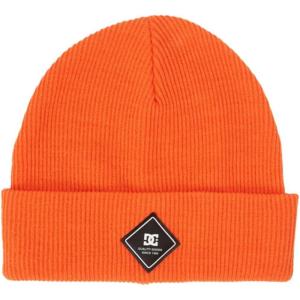 DC Shoes Youth Cold Weather Beanies(Label | Orangeade)